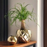 Keramični lonec Glamour 02.705.16